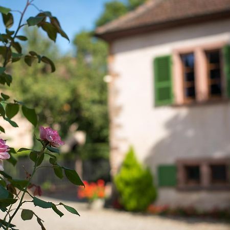 Gite **** Le Meyerhof Rorschwihr Eksteriør billede